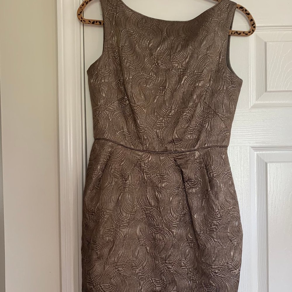 Banana Republic Holiday Shift Dress, Size 6